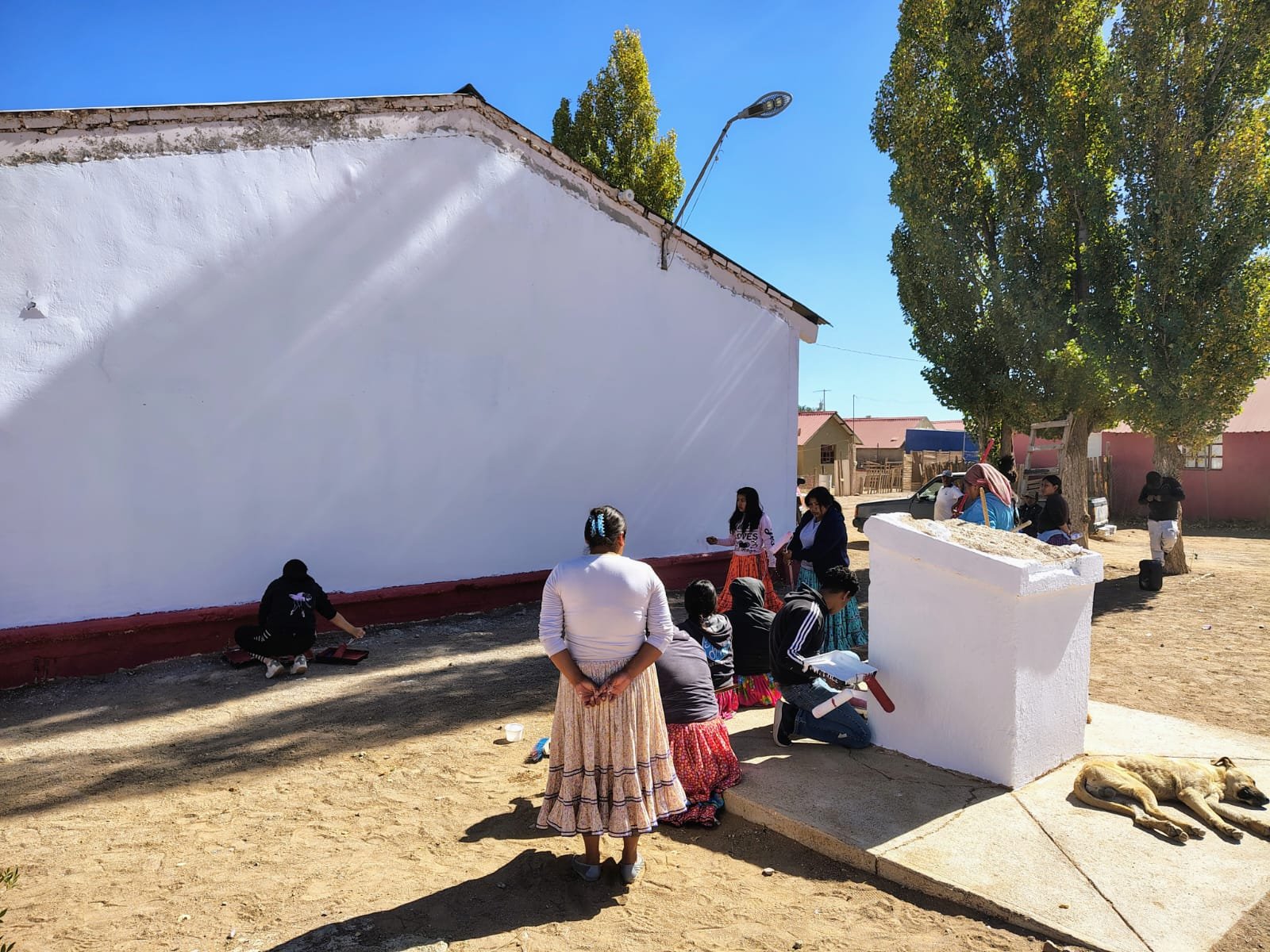 Fotografía del proyecto